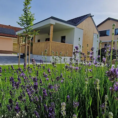 Ferienhaus Melisa Mozirje