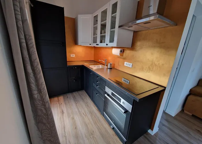 Melisa Дом отдыха Мозирье