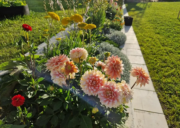 Melisa * Мозирье