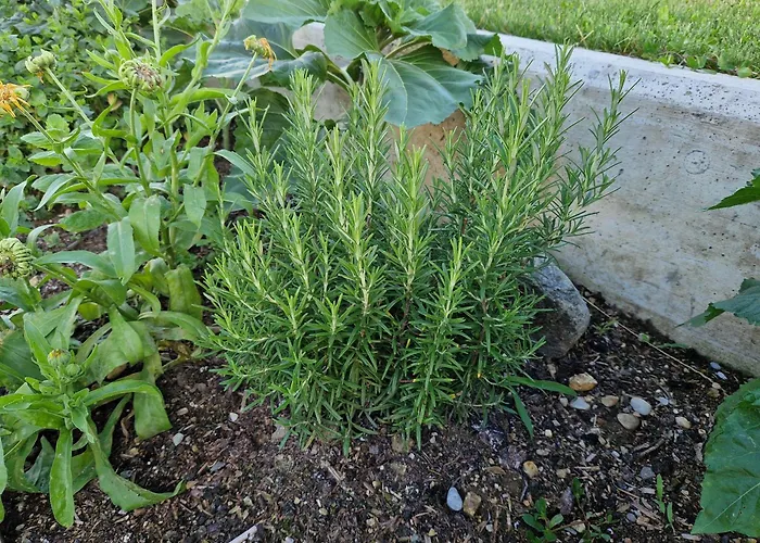 Дом отдыха Melisa Мозирье